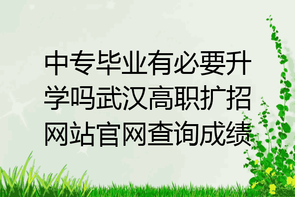 中专毕业有必要升学吗武汉高职扩招网站官网查询成绩