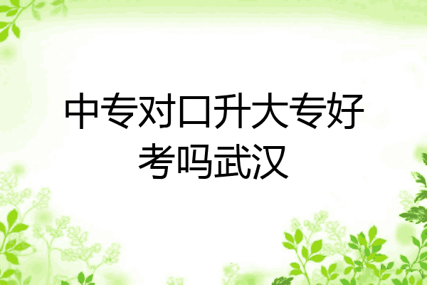 中专对口升大专好考吗武汉