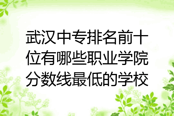 武汉中专排名前十位有哪些职业学院分数线最低的学校