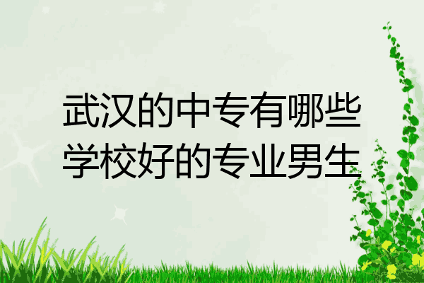 武汉的中专有哪些学校好的专业男生