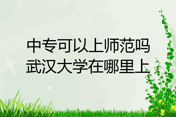 中专可以上师范吗武汉大学在哪里上