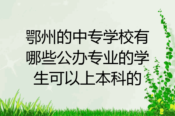 鄂州的中专学校有哪些公办专业的学生可以上本科的