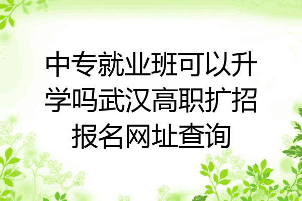 中专就业班可以升学吗武汉高职扩招报名网址查询