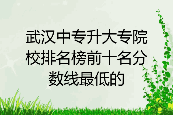 武汉中专升大专院校排名榜前十名分数线最低的