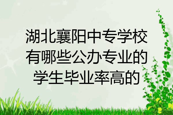 湖北襄阳中专学校有哪些公办专业的学生毕业率高的
