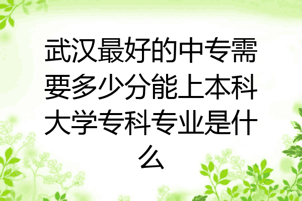 武汉最好的中专需要多少分能上本科大学专科专业是什么
