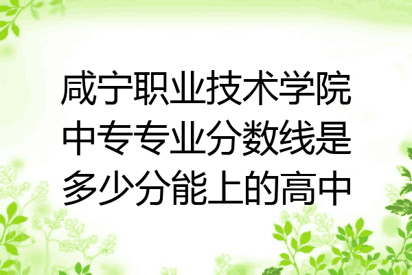咸宁职业技术学院中专专业分数线是多少分能上的高中