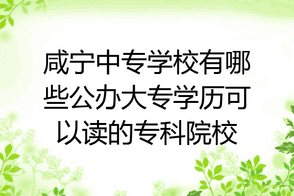 咸宁中专学校有哪些公办大专学历可以读的专科院校