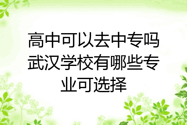 高中可以去中专吗武汉学校有哪些专业可选择