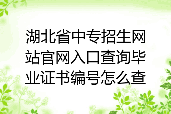 湖北省中专招生网站官网入口查询毕业证书编号怎么查