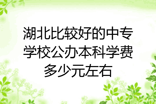 湖北比较好的中专学校公办本科学费多少元左右