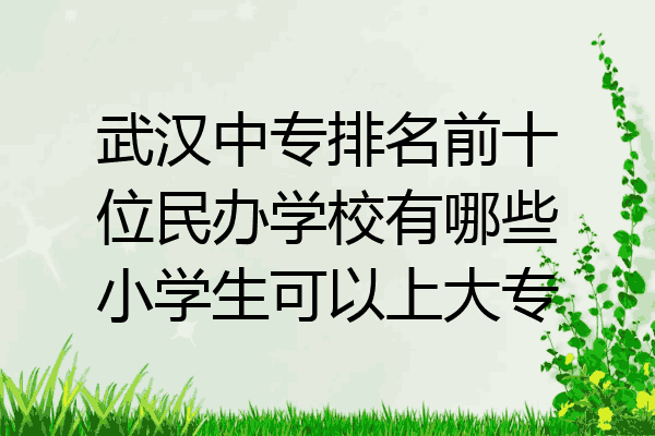 武汉中专排名前十位民办学校有哪些小学生可以上大专