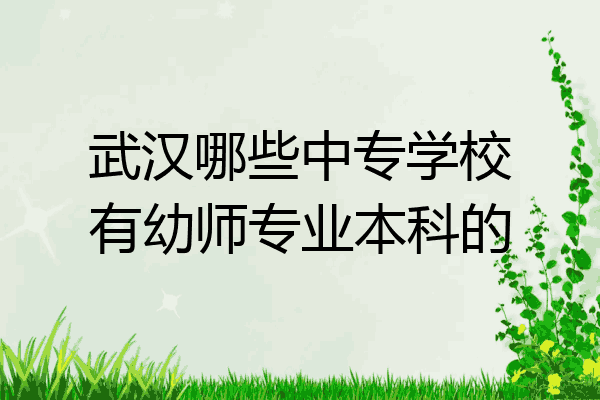 武汉哪些中专学校有幼师专业本科的