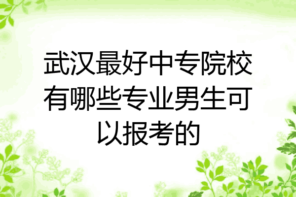 武汉最好中专院校有哪些专业男生可以报考的