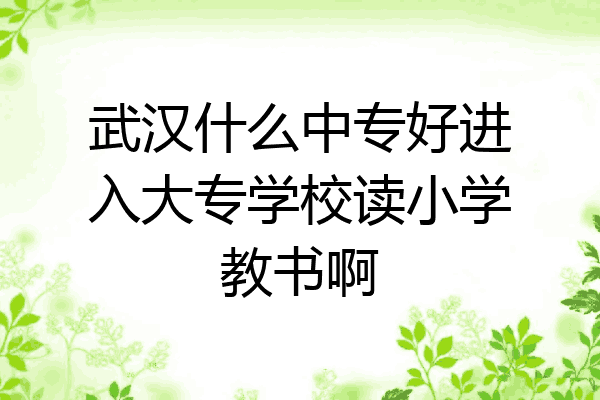 武汉什么中专好进入大专学校读小学教书啊