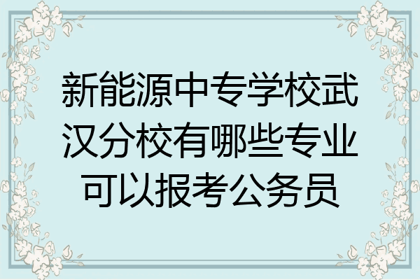 新能源中专学校武汉分校有哪些专业可以报考公务员
