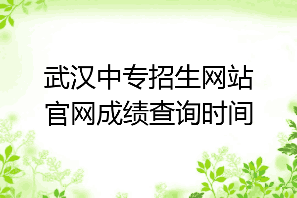 武汉中专招生网站官网成绩查询时间