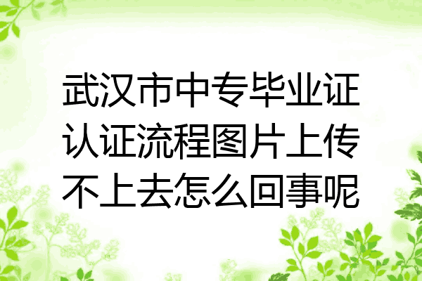 武汉市中专毕业证认证流程图片上传不上去怎么回事呢