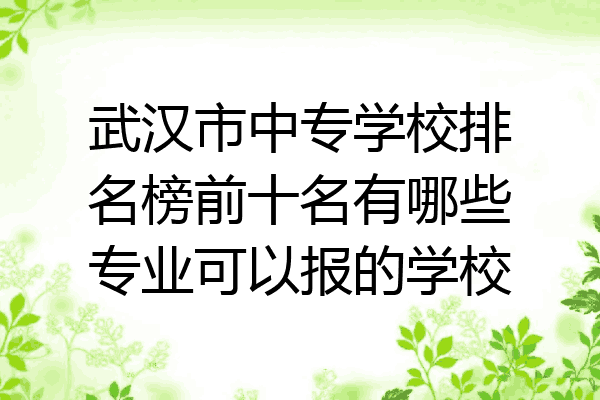 武汉市中专学校排名榜前十名有哪些专业可以报的学校