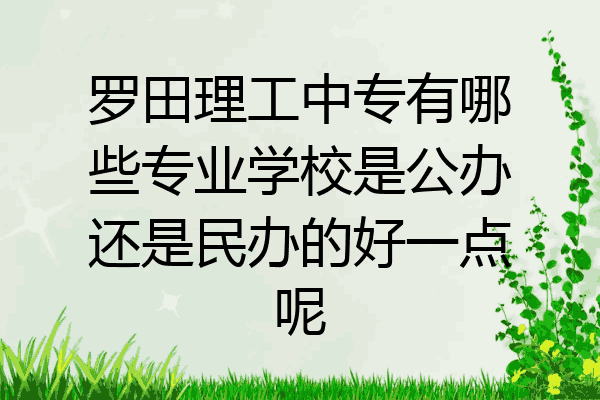 罗田理工中专有哪些专业学校是公办还是民办的好一点呢