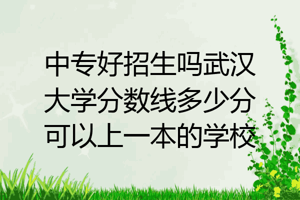 中专好招生吗武汉大学分数线多少分可以上一本的学校