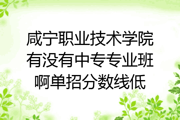 咸宁职业技术学院有没有中专专业班啊单招分数线低
