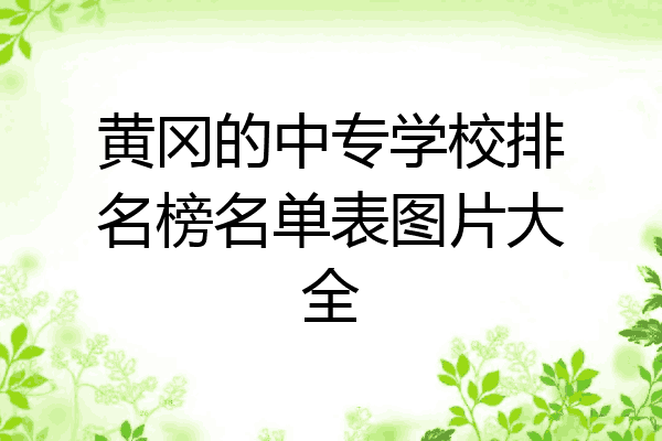黄冈的中专学校排名榜名单表图片大全