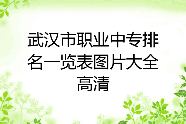 武汉市职业中专排名一览表图片大全高清