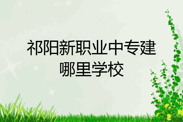 祁阳新职业中专建哪里学校