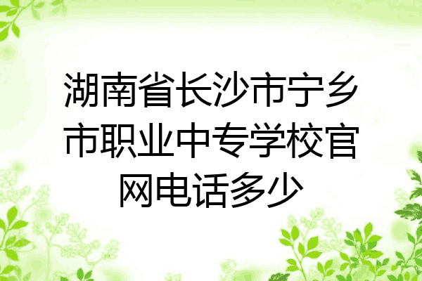 湖南省长沙市宁乡市职业中专学校官网电话多少