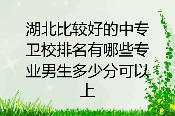 湖北比较好的中专卫校排名有哪些专业男生多少分可以上