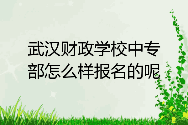 武汉财政学校中专部怎么样报名的呢