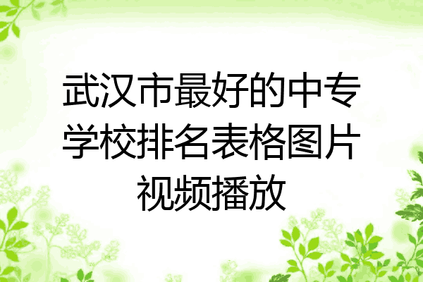 武汉市最好的中专学校排名表格图片视频播放
