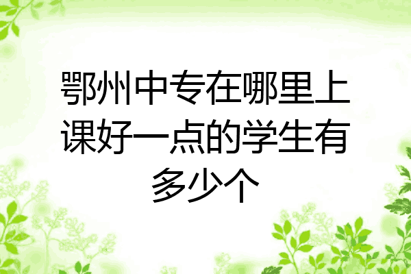 鄂州中专在哪里上课好一点的学生有多少个