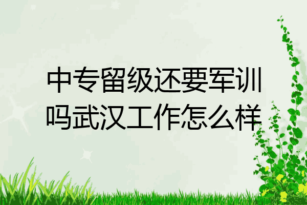 中专留级还要军训吗武汉工作怎么样