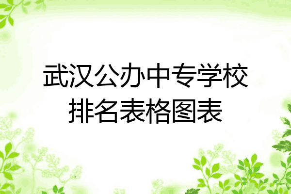 武汉公办中专学校排名表格图表