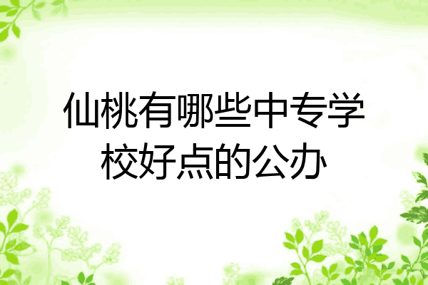 仙桃有哪些中专学校好点的公办