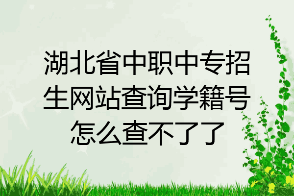 湖北省中职中专招生网站查询学籍号怎么查不了了