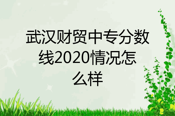 武汉财贸中专分数线2020情况怎么样