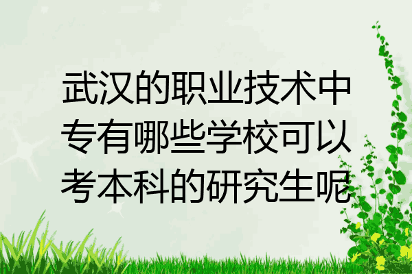 武汉的职业技术中专有哪些学校可以考本科的研究生呢
