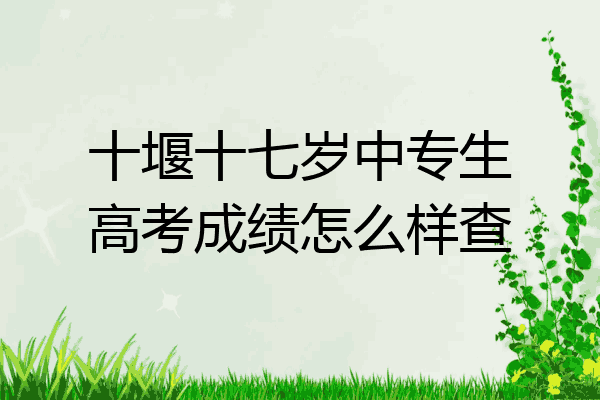 十堰十七岁中专生高考成绩怎么样查