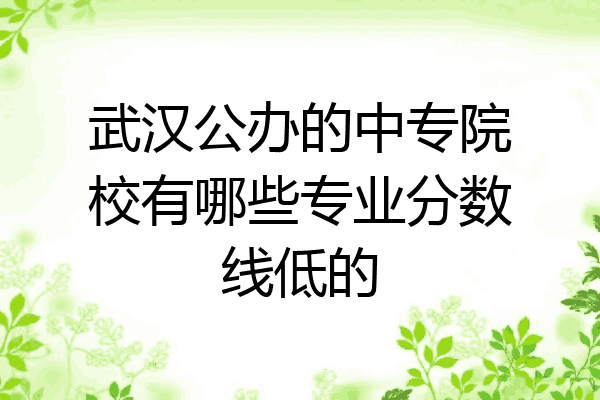 武汉公办的中专院校有哪些专业分数线低的