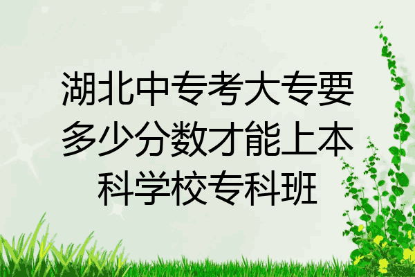 湖北中专考大专要多少分数才能上本科学校专科班