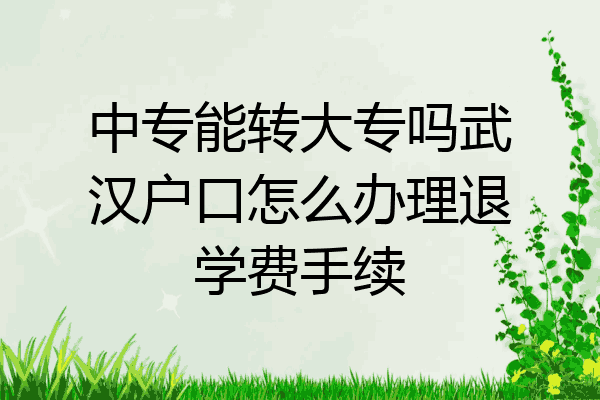 中专能转大专吗武汉户口怎么办理退学费手续