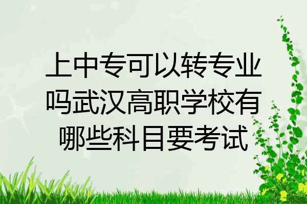 上中专可以转专业吗武汉高职学校有哪些科目要考试