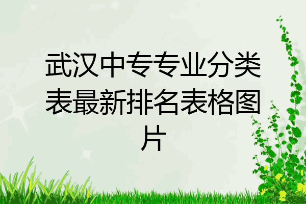 武汉中专专业分类表最新排名表格图片