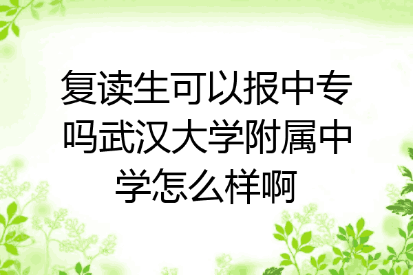 复读生可以报中专吗武汉大学附属中学怎么样啊