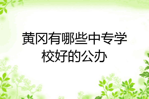 黄冈有哪些中专学校好的公办