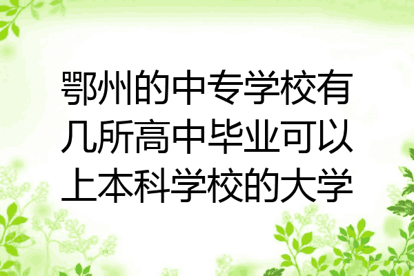 鄂州的中专学校有几所高中毕业可以上本科学校的大学