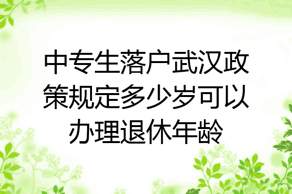 中专生落户武汉政策规定多少岁可以办理退休年龄